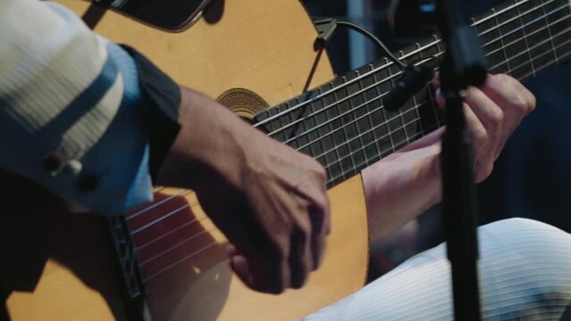 Guitarist plays flamenco at tablao show in Spain