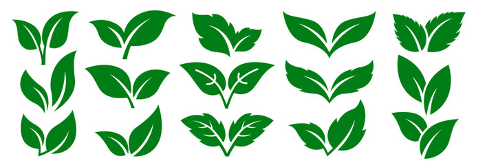 Leaves icon vector set isolated on white background. Various shapes of green leaves of trees and plants. Elements for eco and bio logos.