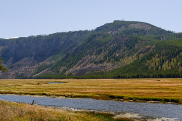 Scenic view of Yellowstone National Park's water and trees
