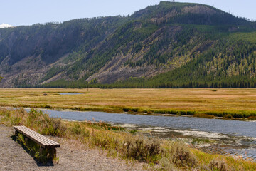 Scenic view of Yellowstone National Park's water and trees