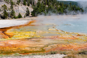 Geyser eruption in Yellowstone National Park