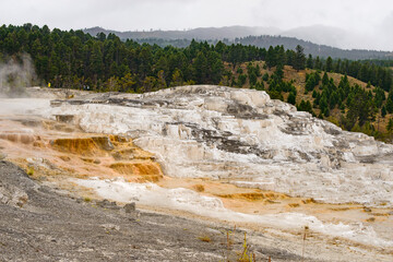 Majestic geyser in Yellowstone National Park