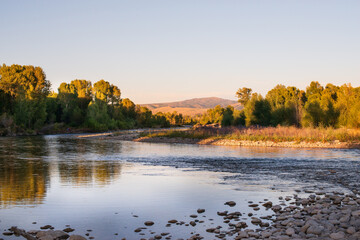 Scenic view of Yellowstone National Park's water and trees

