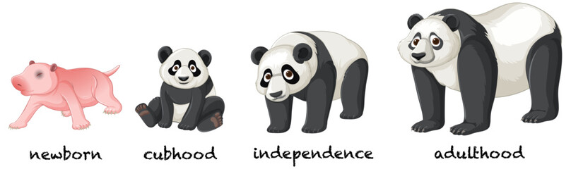 Panda cartoon face images