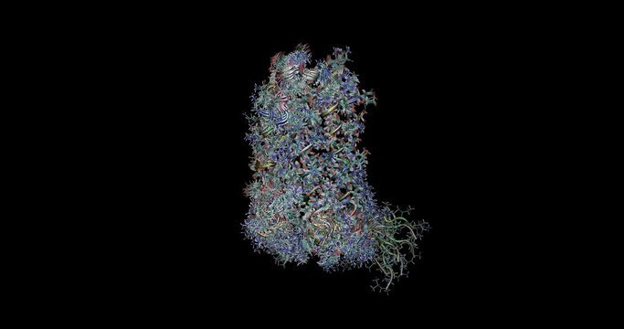 Human prolactin hormone, NMR structure (movement in water), 3D molecule 4K spinning