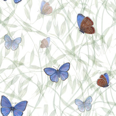 Watercolor seamless pattern of flying blue butterflies isolated on background of wild oats. For greeting card design, invitation template, prints, wallpaper, fabric, textile, wrapping.