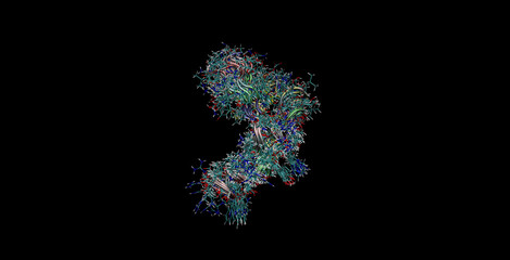 Human epidermal growth factor (hEGF)hormone, NMR structure (movement in water), 3D molecule 4K 