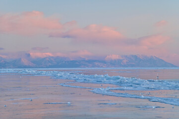 Pink Vanilla Twilight Sky Over Pressure Ridges of Frozen Lake Baikal