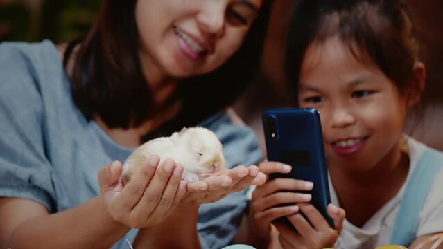 Asian child girl taking a picture baby bunny on mother hand