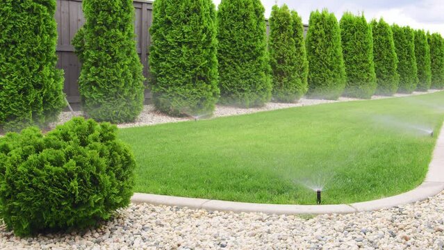 Automatic sprinklers watering green lawn