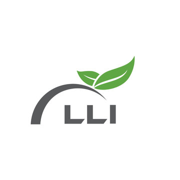 LLI letter nature logo design on white background. LLI creative initials letter leaf logo concept. LLI letter design.

