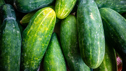 Cucumbers are sold in traditional markets