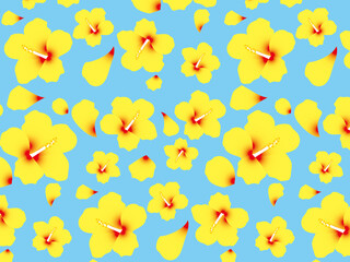 ハイビスカスB1-8