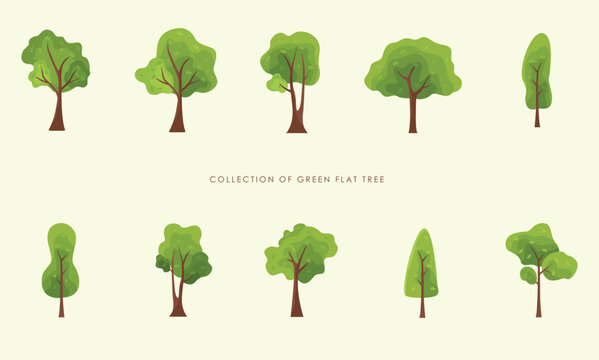Collection of green summer flat tree. Flat forest nature vector illustration