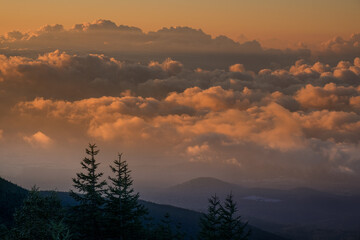 Obraz premium 夕焼け