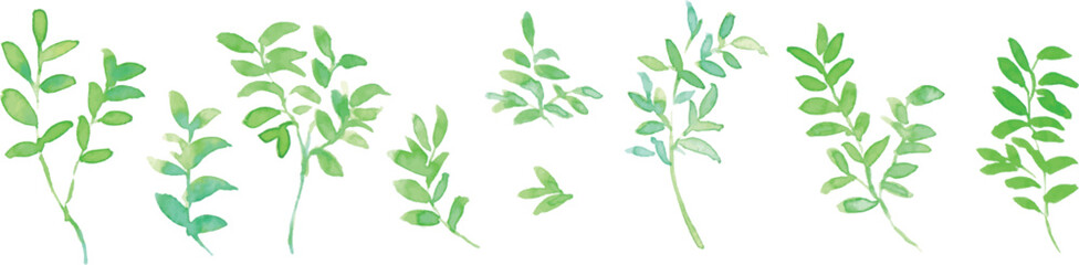 水彩画。水彩タッチの手書きの植物ベクターイラスト。Watercolor painting. Hand drawn plant vector illustration with watercolor touch. Illustration of hand-drawn ivy.