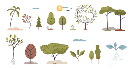 Trees set with various growing plants and elements tiny person collection, transparent background.Botany items with different rainforest, jungle and woods vegetation types illustration.