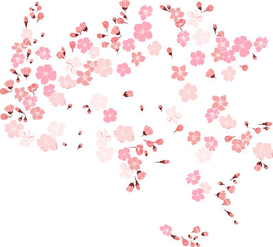 Cherry blossom vector illustration on white isolated.Peach blossom for doodle art on background.Sakura vector for tattoo design.Symbol flower of Japanese.Plum blossom vecor collection.beautiful floral