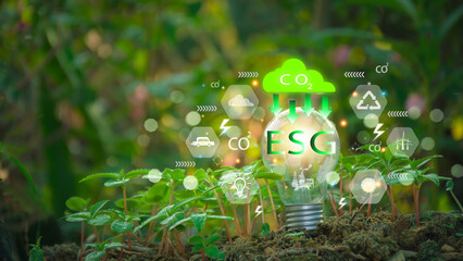 Light bulb with ESG and green natural environment icons Sustainable Strategic Approaches Renewable Energy, Global Warming and Pollution for future business growth and environment