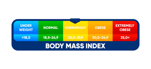 Body mass index. Weight loss concept. BMI scale. Before and after diet and fitness. Healthy lifestyle. Vector illustration.