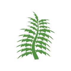 Fern icon