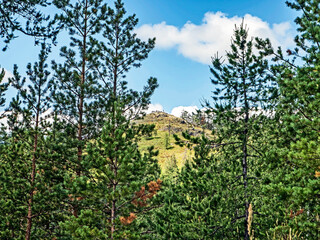 beautiful view of the wooded Ural mountains