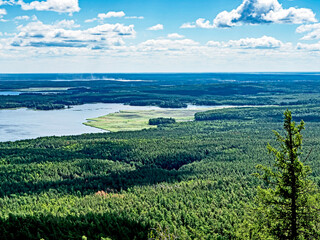 beautiful view of the wooded Ural mountains