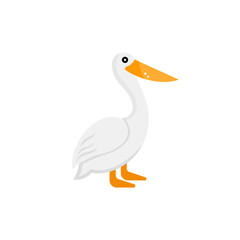 duck isolated on white