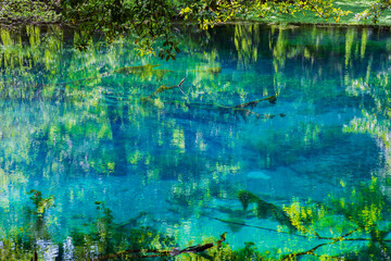 日本の風景　山形県遊佐町　神秘の池　丸池様