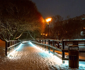 walking path in the night park in winter with overhanging trees and illumination from lanterns
