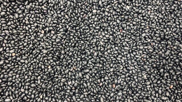 close up of a pile of lentils - seeds background Hd wallpaper - Houston, Texas, USA.