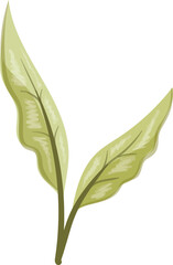 Obraz premium Watercolor Leaves