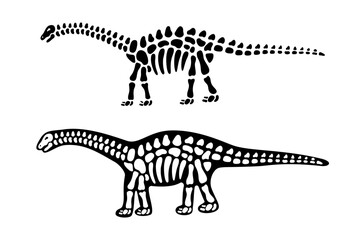 Fototapeta na wymiar Brahiosaurus bones and skull. Brahiosaurus skeleton. Prehistoric animal silhouette. Paleontology and archeology. Prehistoric creature bones
