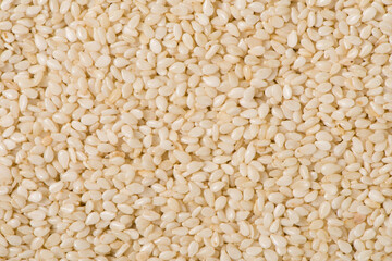 white sesame seeds texture background.