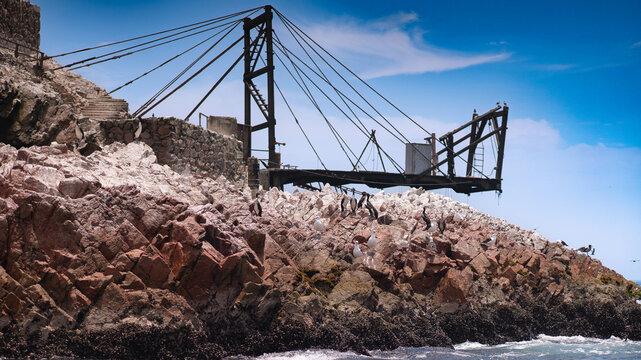 PARACAS NATIONAL RESERVE ISLAND AND NATURE
