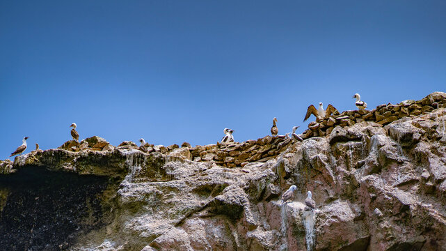 PARACAS NATIONAL RESERVE ISLAND AND NATURE