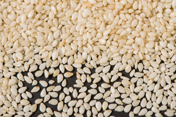 white sesame seeds texture background.