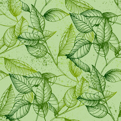 Seamless Eucalyptus leaves. Floral botanical flower. Vector hand drawing wildflower for background, texture, wrapper pattern, frame or border.