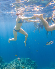 Fototapeta na wymiar The girl swims underwater in the sea.