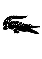 Lacoste icon crocodile on white