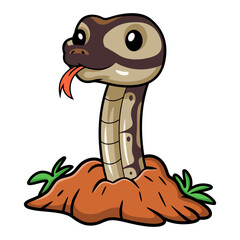 Cute black head butter ball python cartoon out from hole