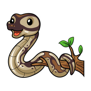 Cute black head butter ball python cartoon on tree branch