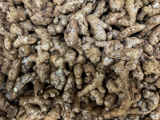 Whole Ginger (Zingiber officinale) Root on sale in a Fresh fruit and vegetable market. Top view of fresh Ginger rhizomes.