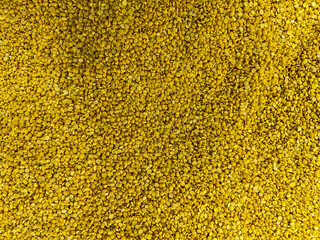 Toor Dhal or Pigeon Pea or Thuvaram paruppu or Togari Bele  Yellow Pigeon peas close up top view. 