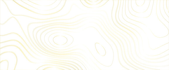 Topographic line contour map background, Topographic map and landscape terrain texture grid, Abstract lines background, fish fillet texture, salmon fillet texture, fish pattern. paper texture .