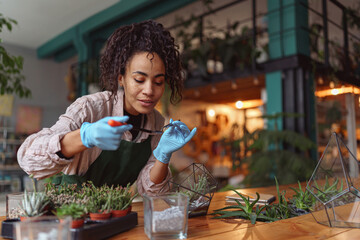 Woman florist making succulent plant composition at floral design studio using special equipment