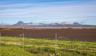 Fog on the Sutter Buttes Mountain Range