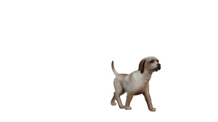 Fototapeta premium dog 3d render ,png
