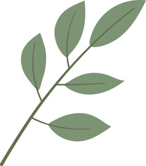 Leaf Illustration