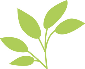 Leaf Illustration